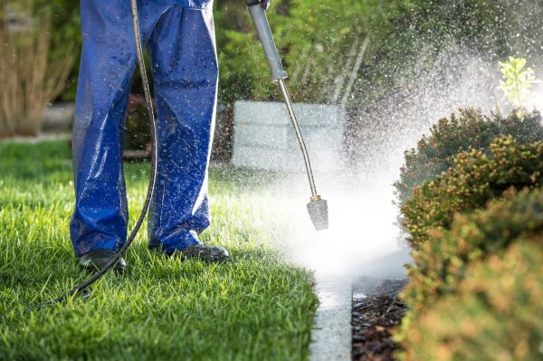 Cost of Curb Cleaning in Scranton