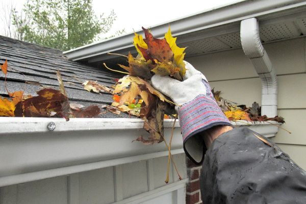 Cost of Eaves Cleaning in Scranton
