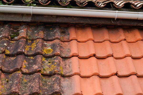 Industrial Roof Cleaning in Scranton