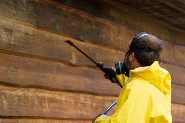 Cost of Cedar Siding Washing in Scranton