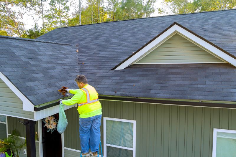 Roof and Gutter Cleaning Specialists